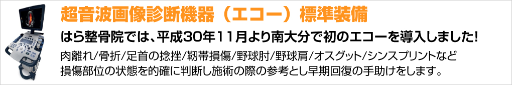 超音波画像診断機器